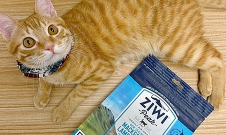 ZIWI巔峰風乾肉片．屬於貓貓的米其林！