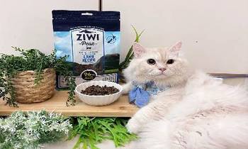 ZIWI巔峰風乾肉片．很推薦各位貓友