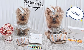 Hyperr紐西蘭綠唇貝油．濃度挑戰業界最高