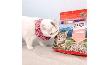 [ 嗨啾試吃開箱 ]K9冷凍乾燥生食: 滿足了想餵生食又比較忙的貓友們