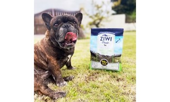 [ 滷蛋試吃開箱 ] ZIWI巔峰鮮肉糧: 專為寵物設計的高能量營養配方
