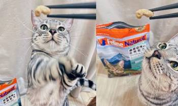 K9貓凍乾生食餐．不愛喝水免擔心！