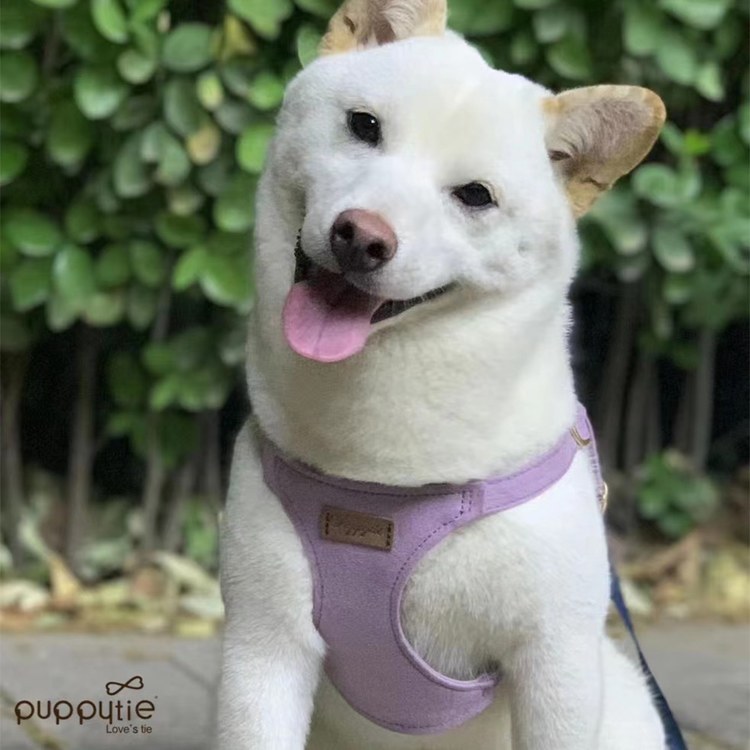puppytie 胸背+牽繩組 純色系列 香芋紫 (防止暴衝|穿戴舒適)