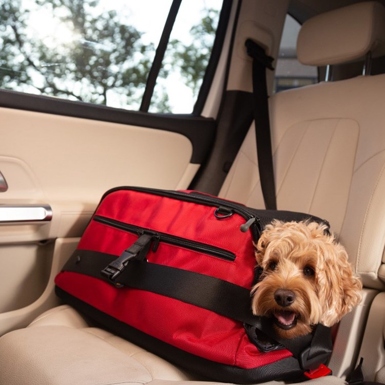 SleepyPod ATOM 寵物旅者輕旅專用旅包 紅色 (寵物包|旅行包)