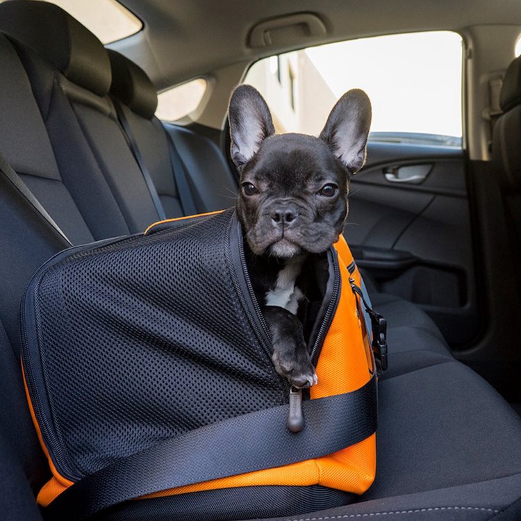 SleepyPod AIR 寵物旅者飛航專用旅包 黑色(寵物包|旅行包)