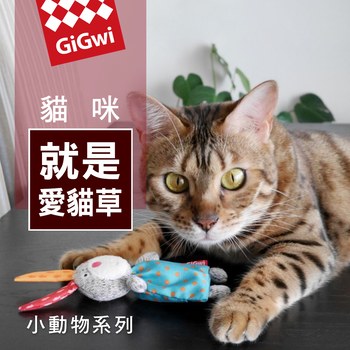 GiGwi 就是愛貓草 小動物系列 (寵物玩具|貓玩具)