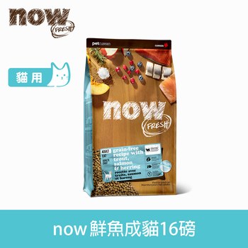 now 鮮魚成貓 無穀天然糧 (貓飼料|貓糧)