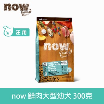 【狗狗】now 無穀天然糧 300克大型鮮肉幼犬