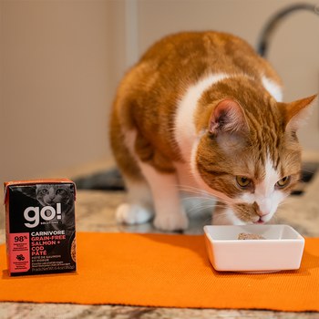 go! 無穀海洋鮭鱈182克 豐醬系列 貓咪鮮食利樂包