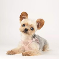 puppytie 胸背+牽繩組 粉色三角標 草莓粉 (防止暴衝|穿戴舒適)