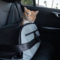 SleepyPod AIR 寵物旅者飛航專用旅包 紅色(寵物包|旅行包)
