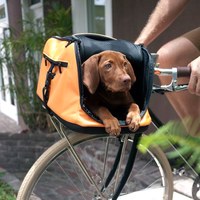 SleepyPod ATOM 寵物旅者輕旅專用旅包 棕色(寵物包|旅行包)