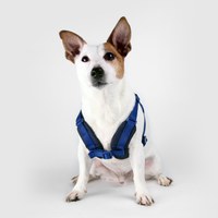 SPUTNIK 寵物機能胸背帶 藍色 四種尺寸 (狗胸背|貓胸背)