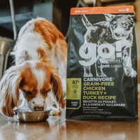go! 加拿大無穀天然狗糧 3.5磅 (狗飼料|犬糧)