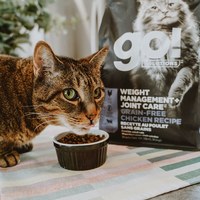 go! 加拿大無穀天然貓糧 16磅 (貓飼料|貓糧)