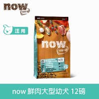 now 鮮肉大型幼犬 無穀天然糧 (狗飼料|狗糧)
