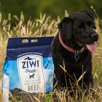 ZIWI巔峰 綜合口味 經典系列 狗糧 1公斤六口味各一 (狗飼料|生食肉片)