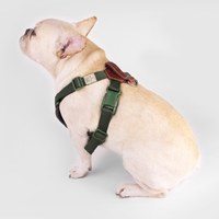 SPUTNIK 寵物機能胸背帶 綠色  四種尺寸(狗胸背|貓胸背)