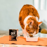 go! 野生鮭魚 豐醬系列 貓咪鮮食利樂包 (貓罐|主食罐)