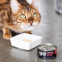 go! 德國貓罐 無穀鮭魚鱈魚 豐醬肉泥主食罐 ( 貓罐 | 主食罐 )