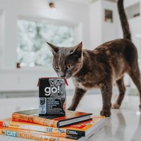 go! 全口味 貓鮮食利樂餐包 (貓罐|主食罐)