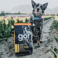 go! 鴨肉蔬果 全犬 全方位系列狗糧 (狗飼料|糙米添加)