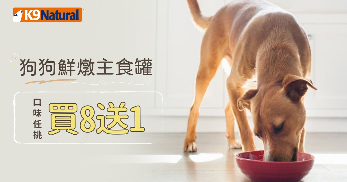 K9狗主食罐 口味任選8送1