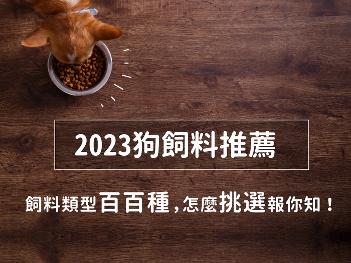 2023狗飼料推薦|飼料類型百百種,怎麼挑選報你知!