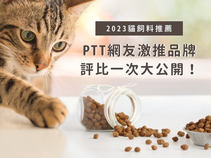 2023 貓飼料推薦|PTT 網友激推品牌,評比一次大公開!