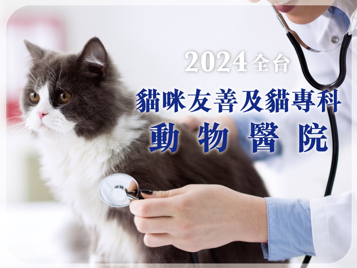 2024全台貓咪友善及專科動物醫院推薦