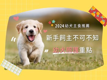 2024幼犬主食推薦｜新手飼主不可不知的幼犬照護重點