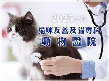 2025全台貓咪友善及專科動物醫院推薦