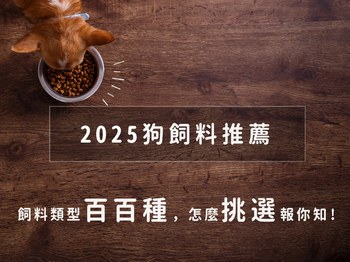 2025狗飼料推薦｜飼料類型百百種，怎麼挑選報你知！