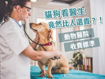 【動物醫院收費標準】貓狗看醫生竟然比人還貴？！