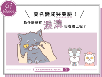 莫名變成哭哭臉！為什麼會有淚溝掛在臉上呢？