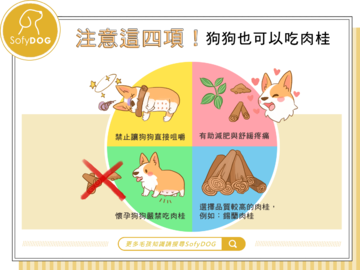 注意這四項！狗狗也可以吃肉桂