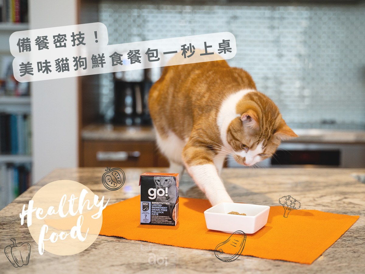 備餐密技！美味貓狗鮮食餐包一秒上桌！