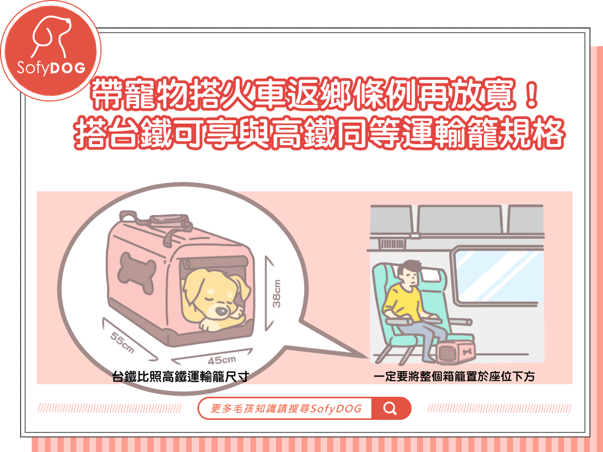 帶寵物搭火車返鄉條例再放寬！搭台鐵可享與高鐵同等運輸籠規格