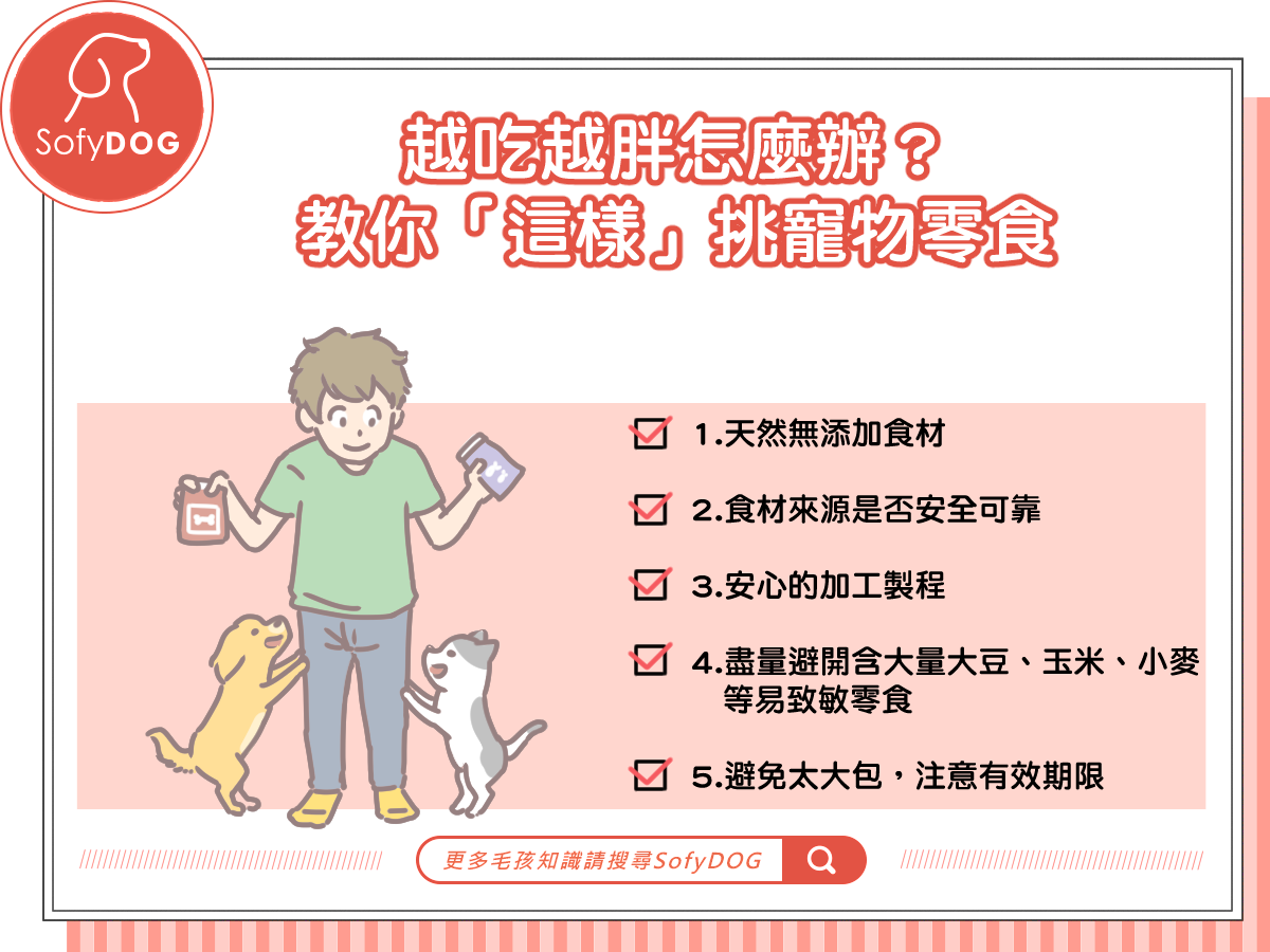 越吃越胖怎麼辦?教你「這樣」挑寵物零食