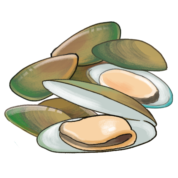綠唇貝能保健關節健康