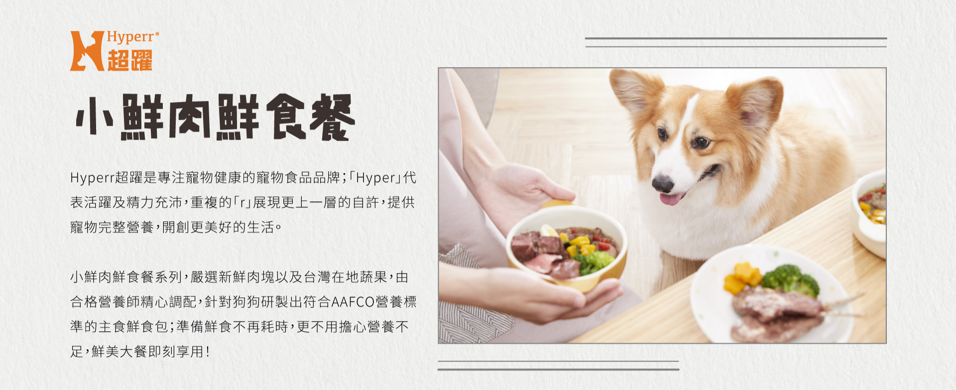 Hyperr超躍小鮮肉餐包