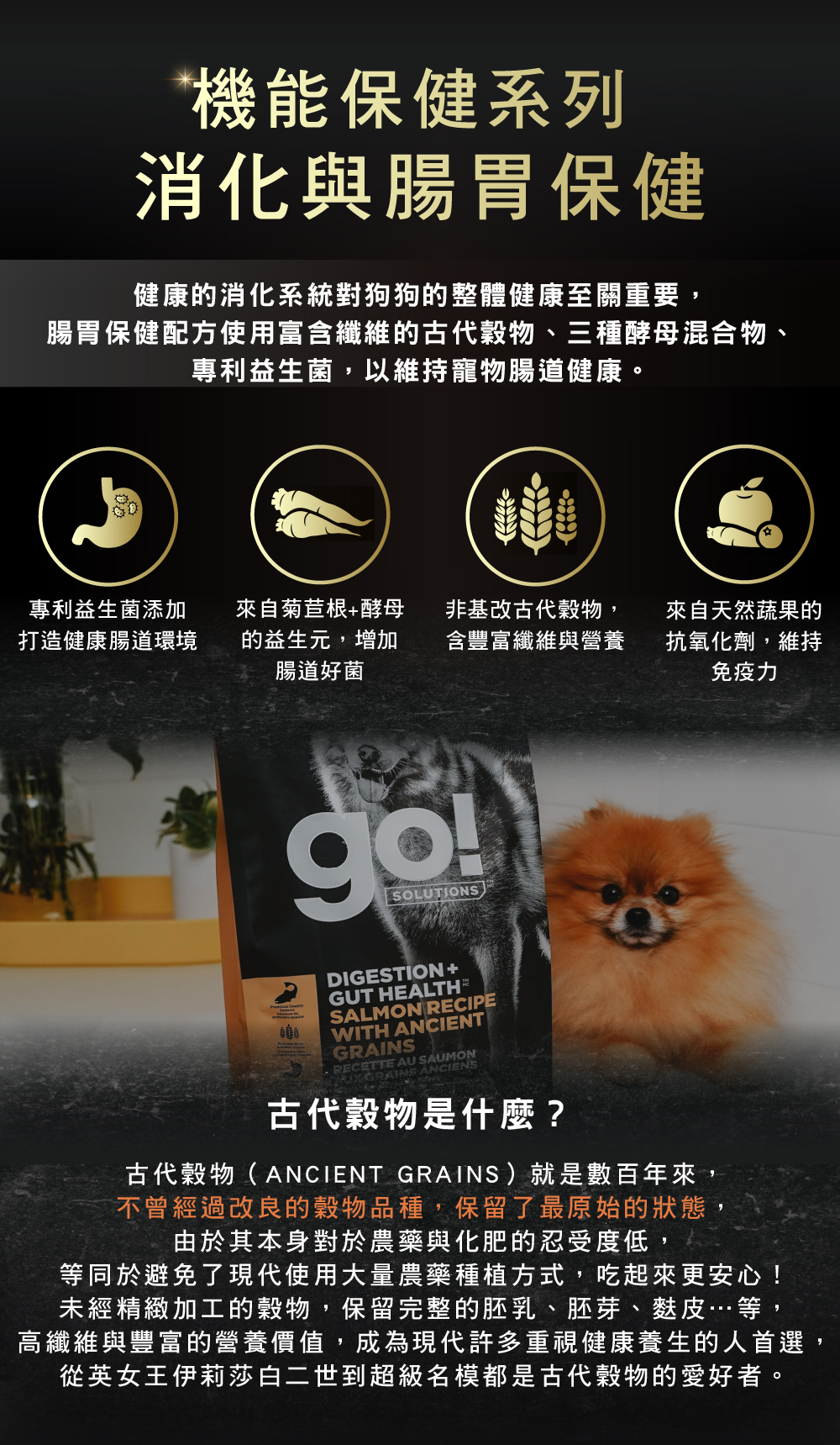 GO系列品專手機04