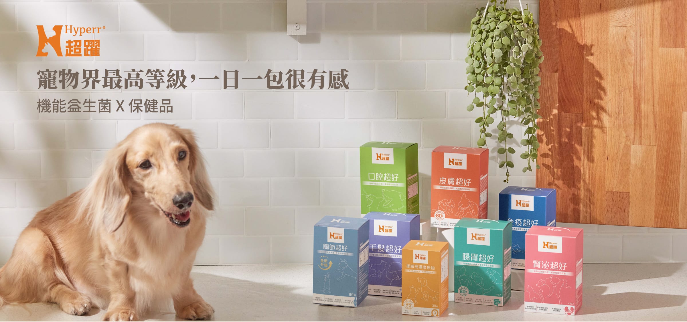 Hyperr超躍 犬貓益生菌、魚油、保健品