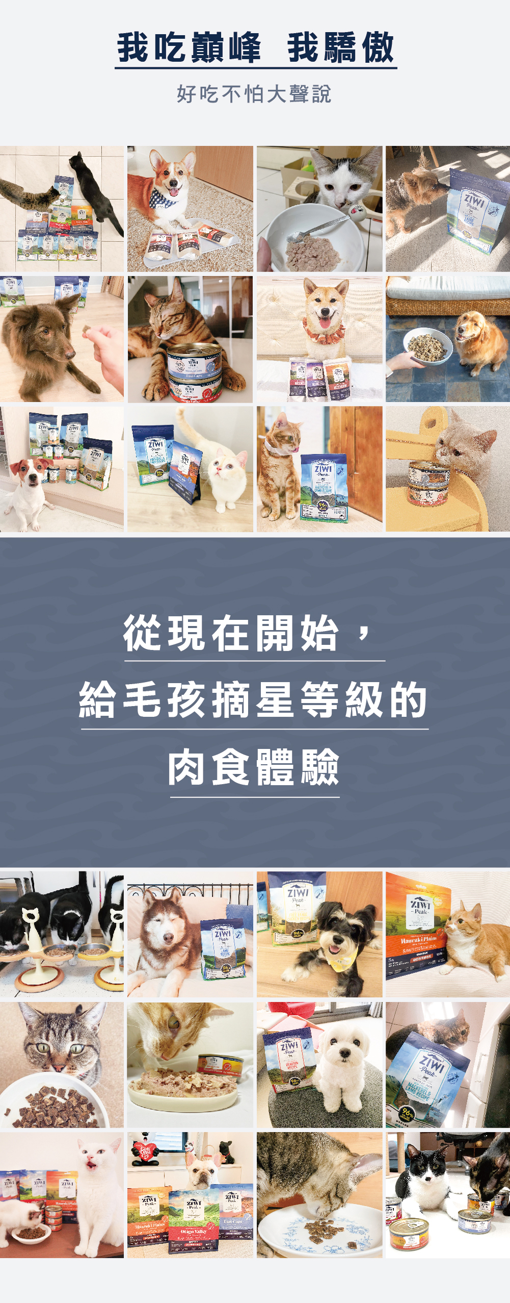 巔峰_品專說明頁05_2