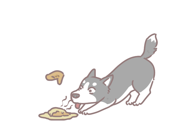 貓狗為何吃反芻食物_3
