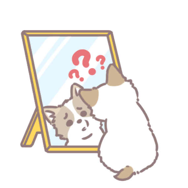 貓狗照鏡子2_